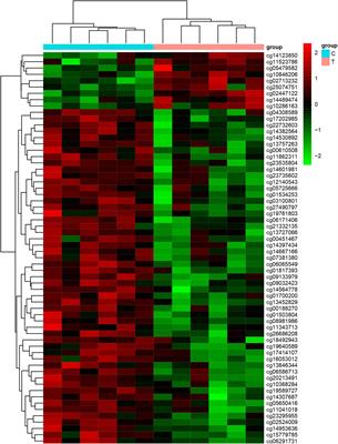 Clopidogrel Resistance Is Associated With DNA Methylation of Genes From Whole Blood of Humans